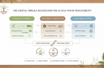 State of Sustainable Sourcing: How Blockchain is Revolutionizing Acacia Wood Traceability in Home Decor